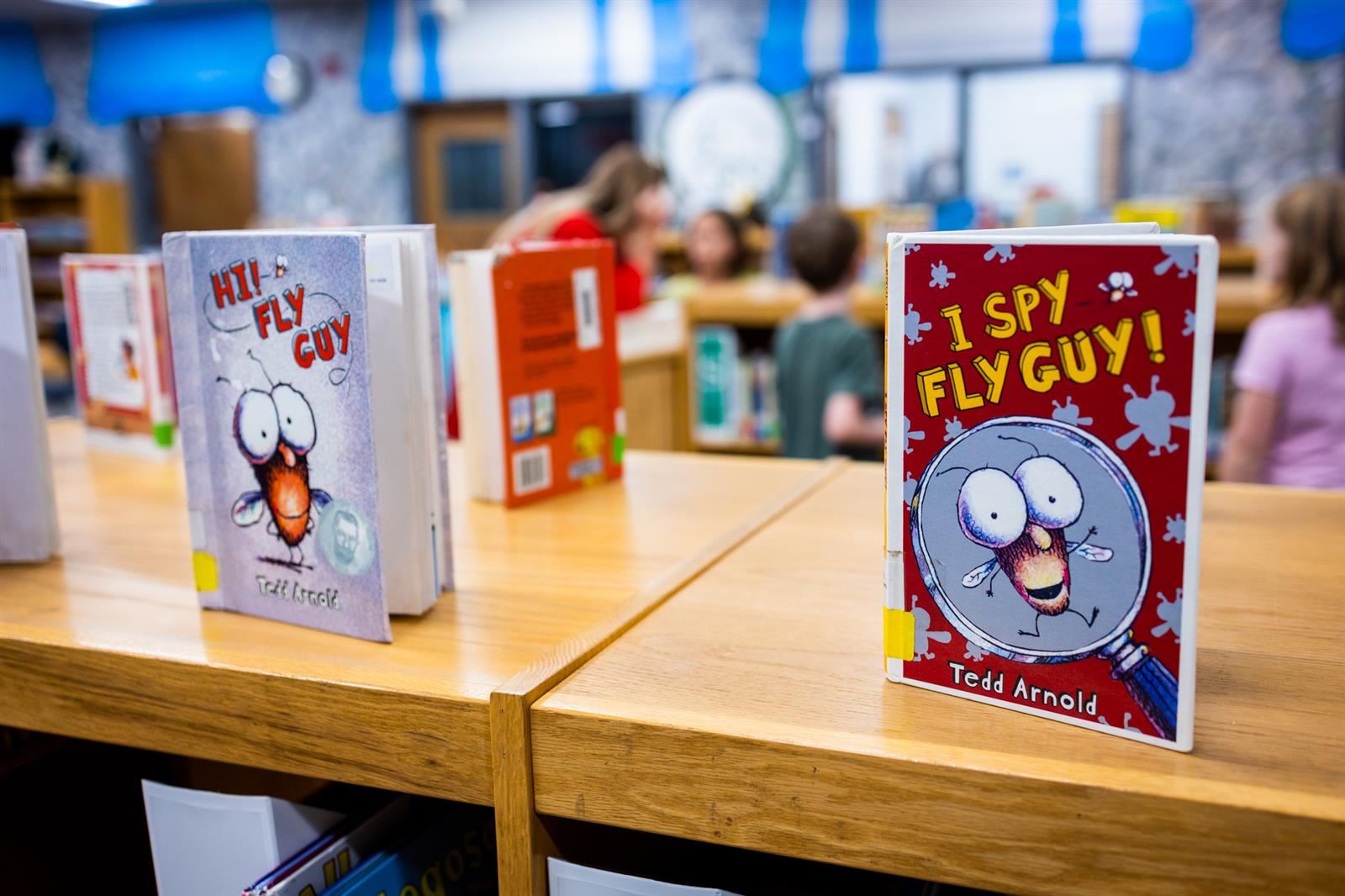 Two Fly Guy books propped on a wooden shelf